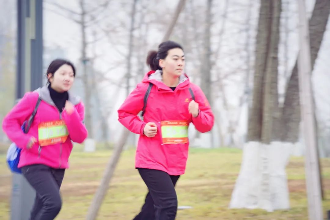 四川省冶勘設計集團祝您元旦快樂！