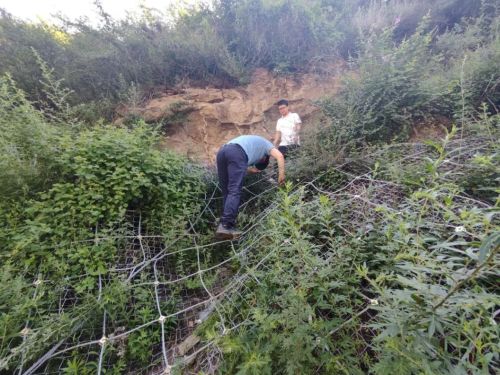 喜迎黨代會 圖說一周年(七) 喜迎黨代會 圖說一周年(七)